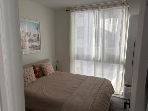 1BD Views l Pool & Gym l Downtown Miami