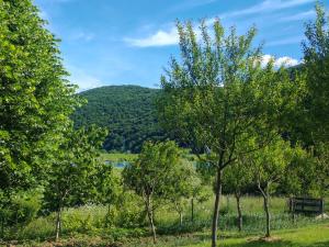 Apartmani Mila