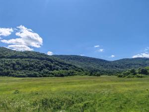 Apartmani Mila