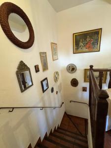 Cortijo Cenascuras