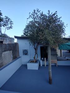 Casa Pitanga