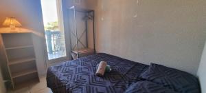 Vue grande plage à 100m, secteur Lydia, appartement 4 couchages, grand balcon, ventilateurs