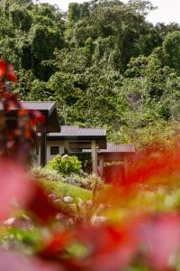 Untold Arenal - Rainforest Suites