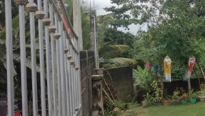 Kelaniya Lodge