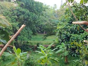 Kelaniya Lodge