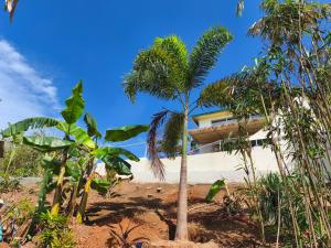 C&Sea view apartment-Pool -Terrace-WiFi Starlink