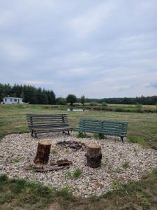 Żurawi Staw- Slow Life koło Augustowa Natura i Spokój