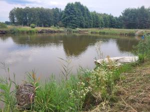 Żurawi Staw- Slow Life koło Augustowa Natura i Spokój