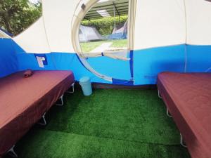 Camping Green house