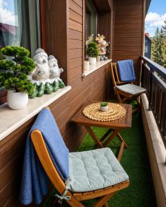 Mountain studio ASP E63 Borovets Gardens