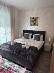 Anais Stay Brasov