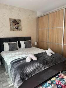 Anais Stay Brasov