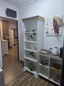 Studio Aurora Blue