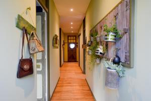 Len vert appartement