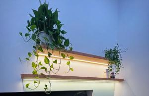 CS2 - Nhà Mình Homestay Đà Nẵng