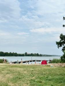 Beztroskie Barwiny nad jeziorem Wulpińskim na Warmii