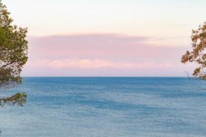 The Little Blue