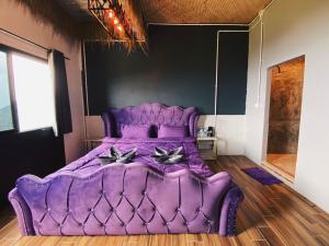 Exotic Koh Tao - The Hidden Place