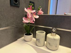 Apartman Matea