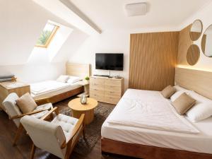 Anenský Apartmán C303 s wellness , O2 TV a stabilní rychlou WIFI, s možností dokoupení snídaní a s možností dokoupení masáží