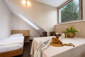 Anenský Apartmán C303 s wellness , O2 TV a stabilní rychlou WIFI, s možností dokoupení snídaní a s možností dokoupení masáží