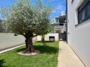 Villa De La Maria Umag