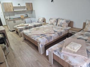 ZDRAVLJE apartmani Kuršumlijska Banja