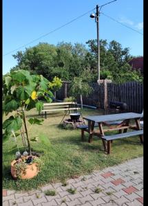 Mira wellness apartman
