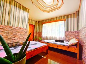 PineHouse Homestay - Sagada Town Proper!