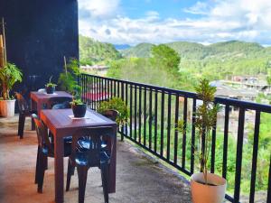 PineHouse Homestay - Sagada Town Proper!