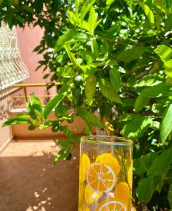 The Citrus Tree Apartments