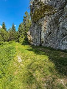 Rocky Meadow - Place for camping