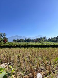 Lombok Hidden Villa