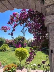 Villa Funtana Cortese