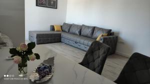 Apartmani Trivunov - Silver Nest Apartments