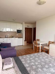Sea view Studio Byla