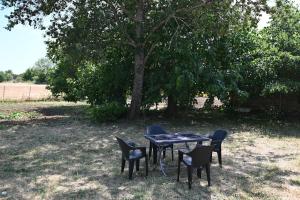 Evros nest by Eva&Viki