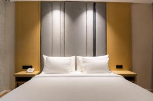Hotel Airport Elite Suit Near Delhi Airport