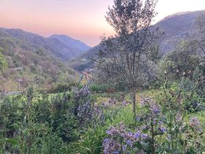B&B PETITE PROVENCE Genova