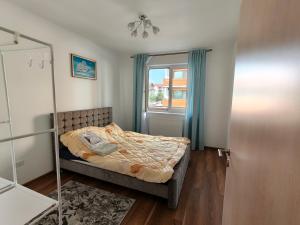 V&V Suites Brasov