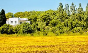 Agreen Country House