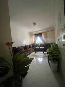 Riad sofia