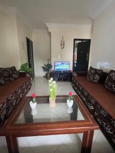 Riad sofia