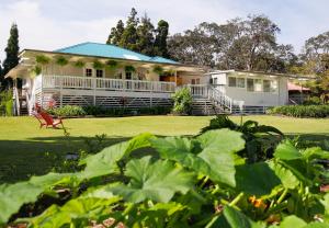 Aloha Junction Bed and Breakfast -Minutes away from Hawaii Volcanoes National Park
