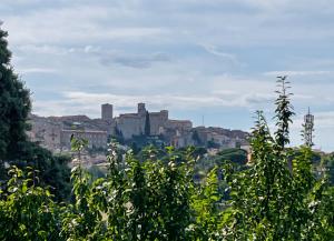 Tra le vie di Todi