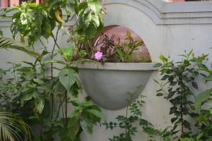 Nature Trinity villa