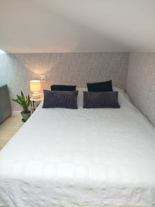 DOM NA GóRCE w Beskidach - apartamenty, pokoje