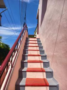 Raj Bhavan Homestay
