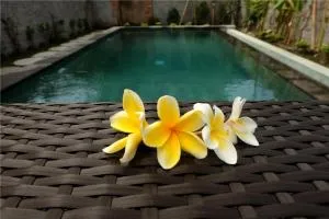 Eka Bali Guest House - Ubud