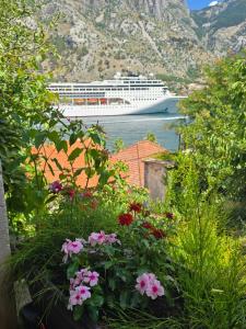 Apartman Jelena